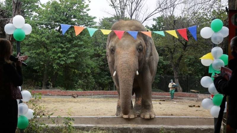 CAA ready for Kaavan’s departure to Cambodia  