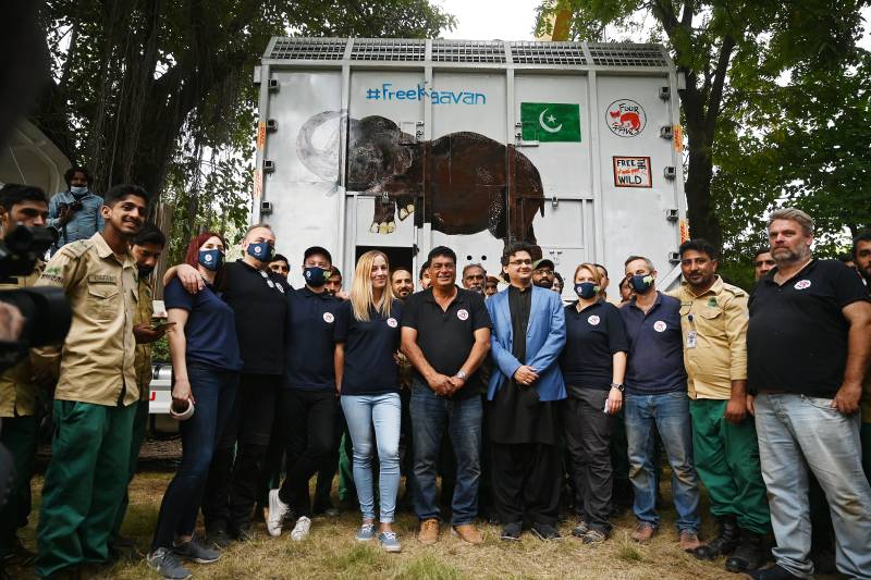 Kaavan elephant heads to Cambodia after Cher campaign