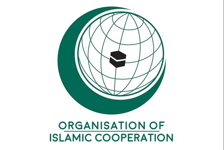 OIC FMs resolution on Kashmir no more than lip-service