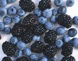 Demand for South African 'superfood' blueberries booming