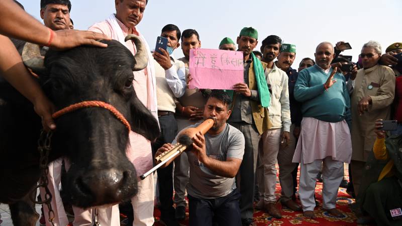 Hay beds and highway kitchens: Indian farmers dig in for reform protests