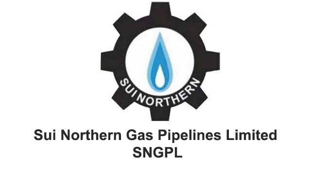 Govt appoints heads of SSGC, SNGPL