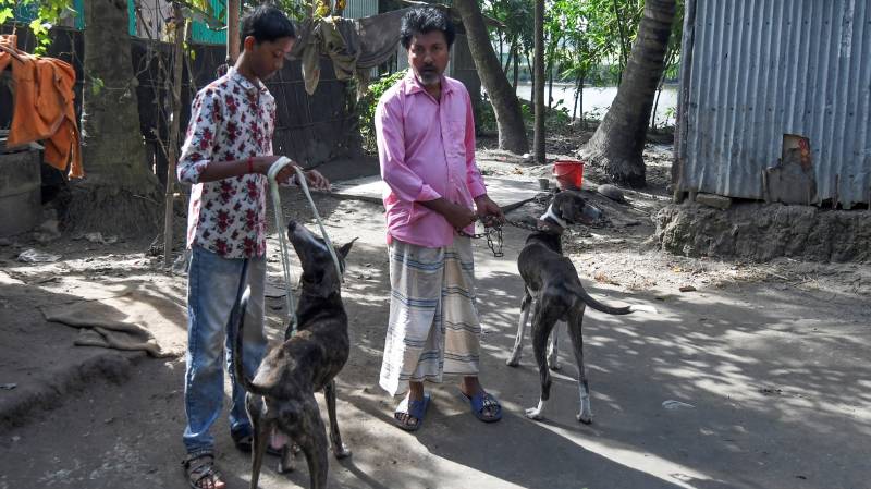 Race to save Bangladesh hound from extinction