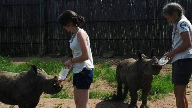 Orphaned rhinos find safe refuge in S.Africa sanctuary