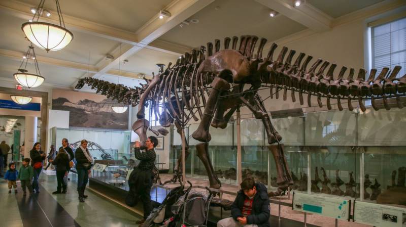 New Patagonian dinosaur may be largest yet: scientists