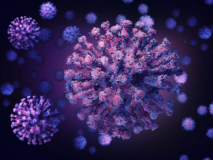 Virus mutations down to chance, in more ways than one