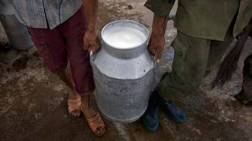 karachi-dairy-farmers-to-sell-milk-at-rs140-per-litre-after-11th