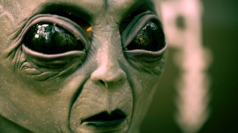 Harvard astronomer argues that alien vessel paid us a visit