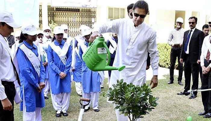 PM Imran eyes planting one billion saplings by August