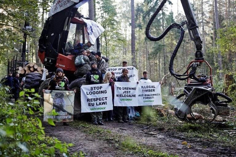 Brussels warns Warsaw over ancient forest