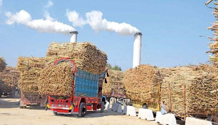 Sugar mills given two days to clear growers’ dues 