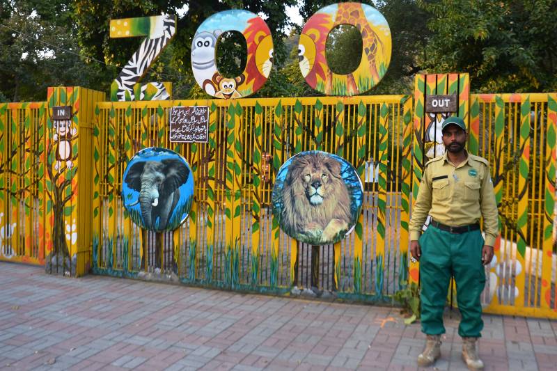 Islamabad Zoo begins mammoth makeover after Kaavan’s departure