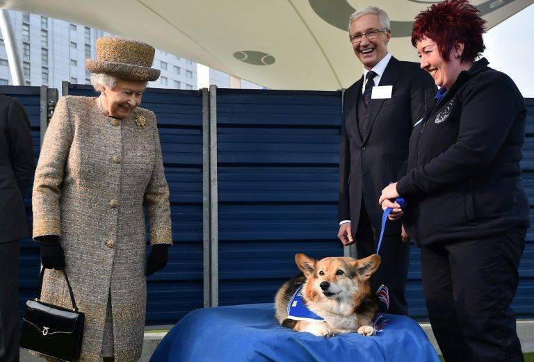 During tough times, dogs save the Queen: report