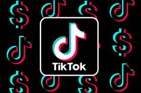 PHC orders immediate ban on TikTok for indecent content