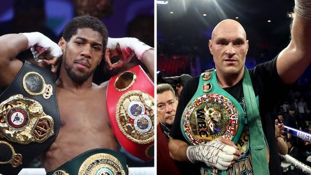 Joshua, Fury sign two-fight heavyweight unification deal: promoter