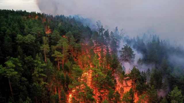 Russia forecasters warn over Siberia forest fires