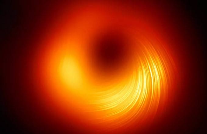 A 'starter kit' for supermassive black holes?