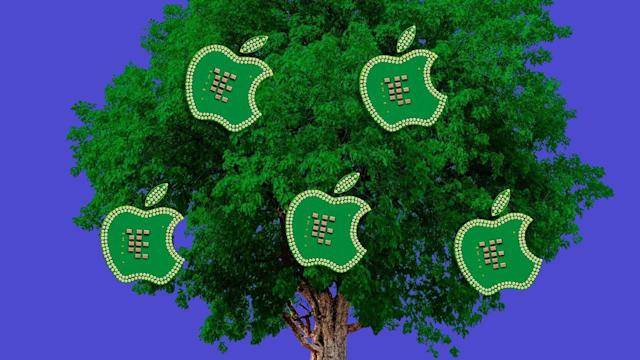 Apple announces $200m forestry fund to reduce carbon