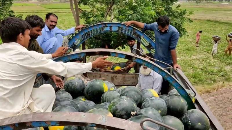 3 die as melon truck crushes motorcyclists