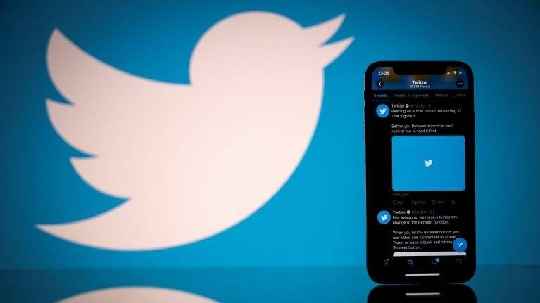 New bug discovery proves mite of Twitter