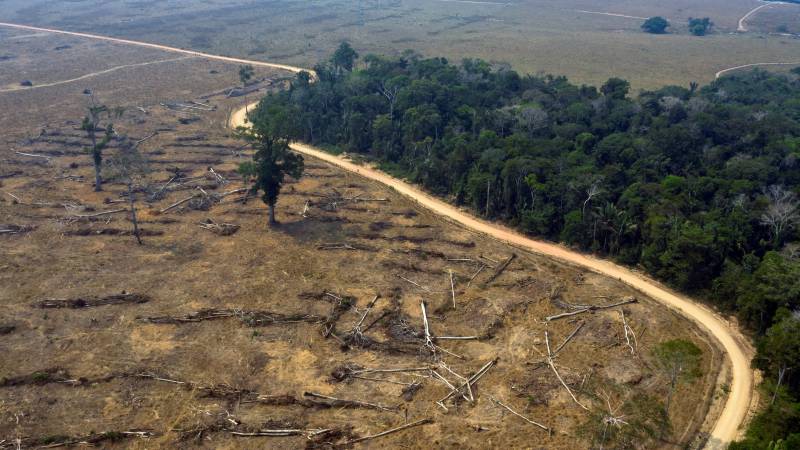 Outcry over Brazil bill relaxing environmental rules