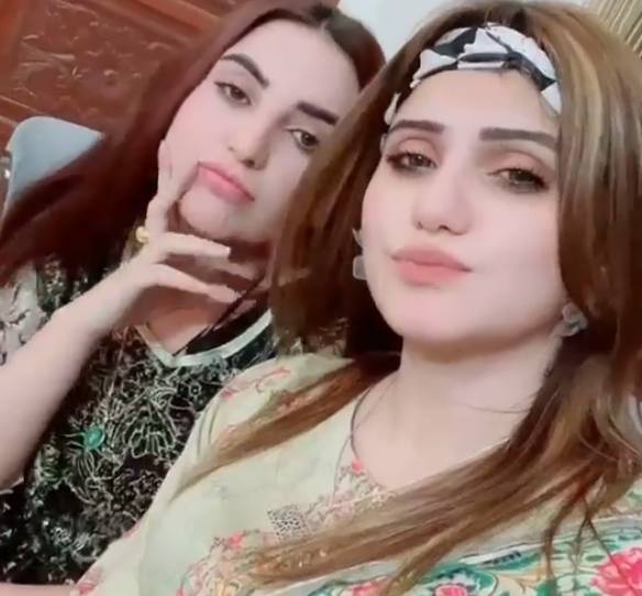 Hareem Shah’s friend releases song for PM Imran as Eid gift