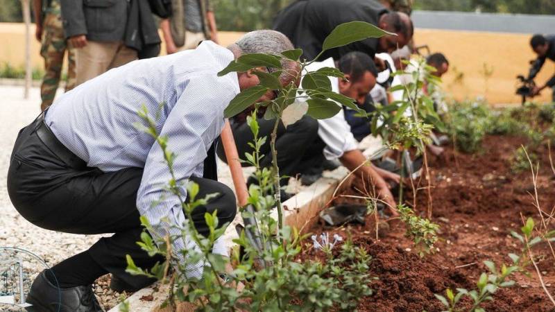 Ethiopia's Abiy kicks off massive tree-planting drive