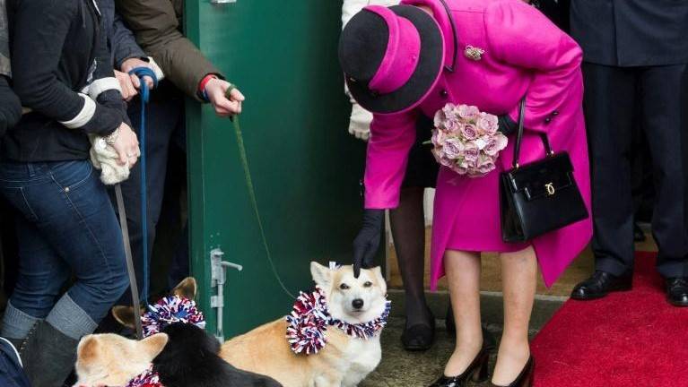 Queen Elizabeth 'devastated' by puppy's death: report