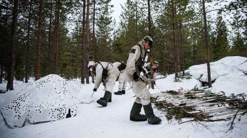 Sweden's snowy forests provide setting for Arctic warfare training