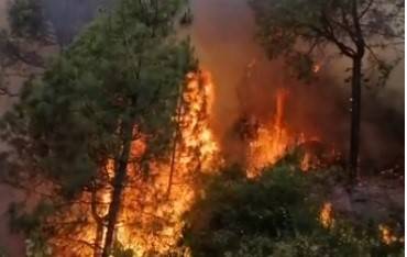 Fire again erupts at Islamabad’s Margalla Hills