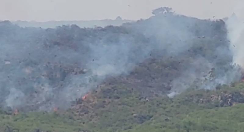 Fire at Margallah Hills brought under control 