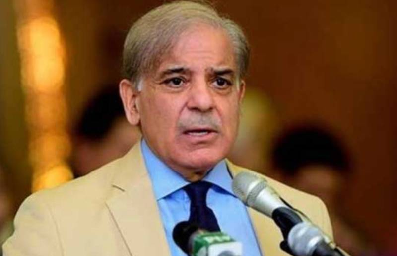 Shehbaz Sharif questions govt economic statistics