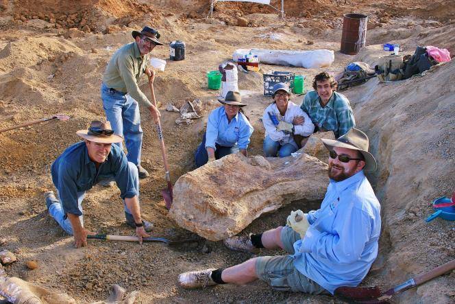 Australia's largest dinosaur identified as new species