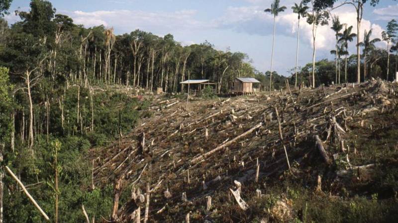 Tackle climate change and biodiversity loss together: UN panel