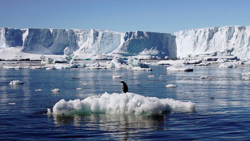 Pacific islanders likely found Antarctica first: study