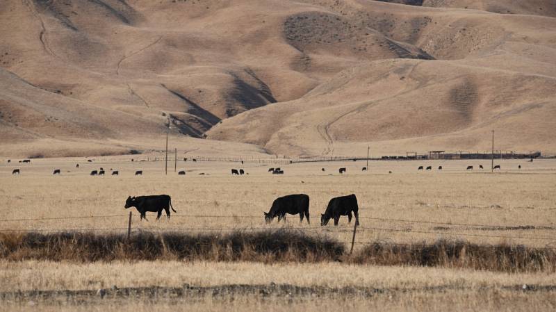 Historic drought threatens California farms supplying much US food