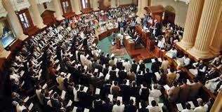 Pandemonium in Punjab Assembly after PML-N MPA’s anti-PM remarks