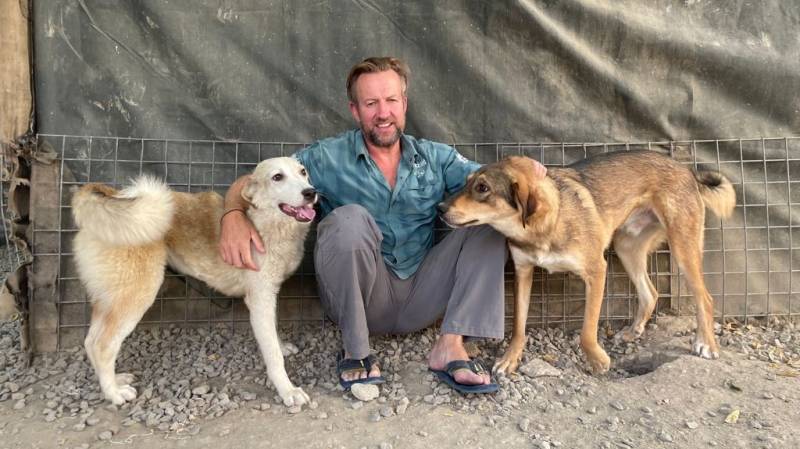 Briton can evacuate 200 dogs and cats from Kabul, UK rules