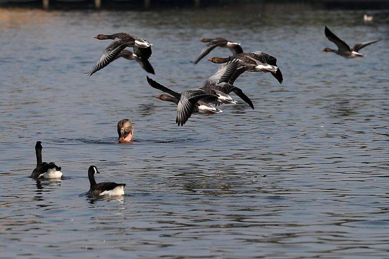 Fragmented nature imperils wildlife as climate warms