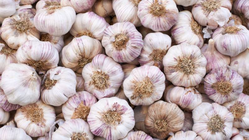 Big food scam surfaced as garlic of Rs160m stoles from public warehouse