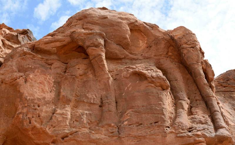 Desert camel carvings dated to around 7,000 years ago