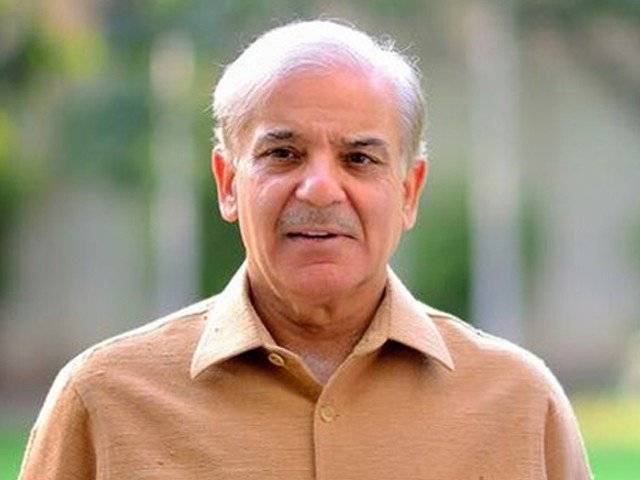 Shehbaz Sharif fall