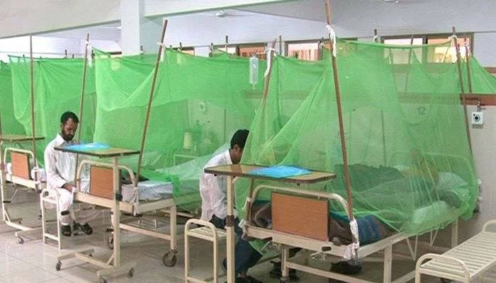 Islamabad reports new 44 dengue cases in one day