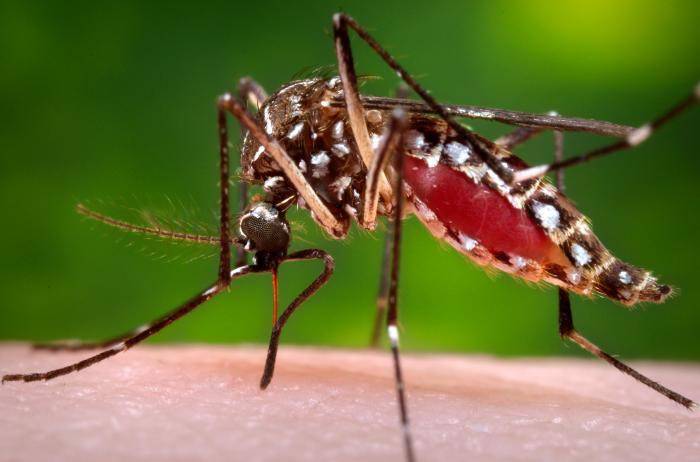 Enraged kin of patient died of dengue turn hospital into combat zone