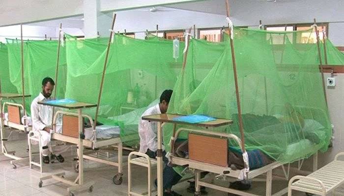 Alarming spike in dengue virus cases in Punjab, KP