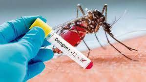 Twin cities experiencing constant rise in dengue cases