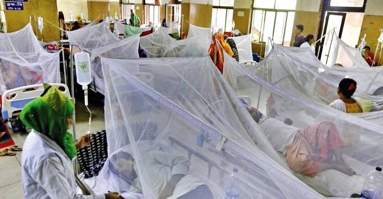 107 fresh dengue cases reported in Islamabad, suburbs