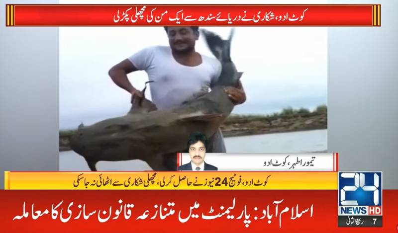 Lady luck smiles on Kot Addu's fisherman!