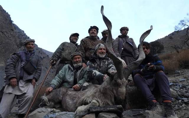 American hunts Markhor for Rs20 million