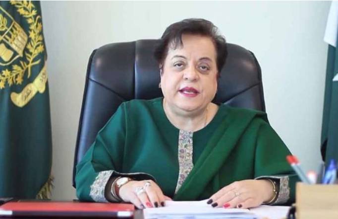 Nazim Jokhio's killing:  Shireen Mazari says state to pursue case, if family backs off